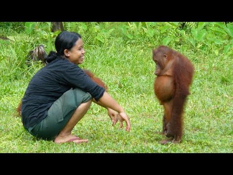 The Funniest Animal Videos Ever (2025) 😂 Funny Pet Video