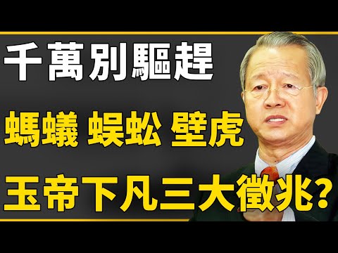 螞蟻、蜈蚣、壁虎入宅，竟是玉帝下凡的三大徵兆？千萬別驅趕！恐有大事發生...#曾仕強 #國學 #人生感悟 #易經 #命理 #福報