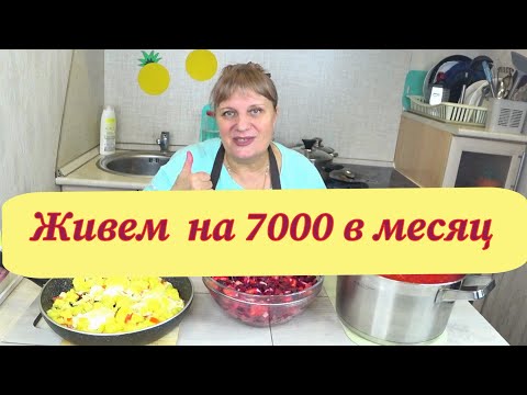 Живем на 7000 тысяч ,30 дней ! День №3 Экономное ,бюджетное меню! Это сможет каждый!