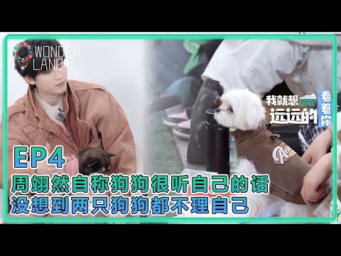 【五十公里桃花塢S5】EP4：打脸来得太快！周翊然自称狗狗很听自己的话，没想到两只狗狗都不理自己！