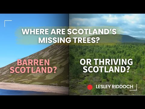 Scotland's Missing Forests: The Great Eco-Conspiracy