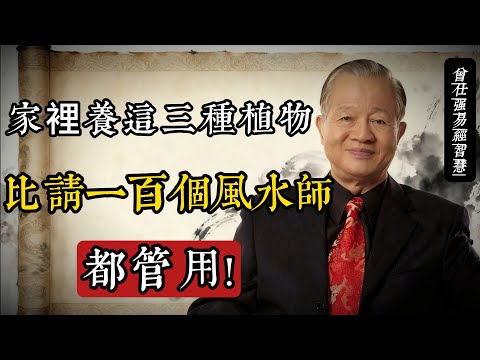 家裡養這三種植物，比請一百個風水師都管用｜曾仕強#曾仕強 #易經智慧 #家宅風水 #國學 #家道 #萬年青 #蘭花 #富貴竹 #東方生活美學 #家風