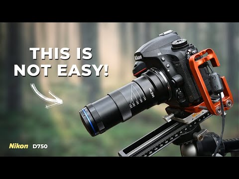 I tried Super Macro Photography... and struggled!