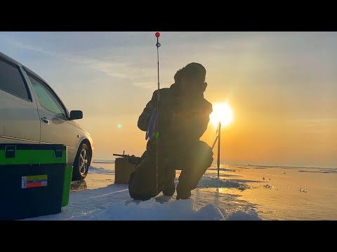 СУПЕР РЫБАЛКА НА ОМУЛЯ🔥БЕШЕННЫЙ КЛЕВ! ДУПЛЕТЫ ГНУТ УДОЧКИ😱