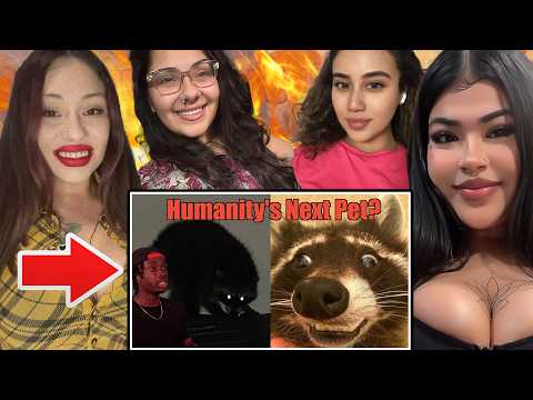 How Raccoons (Almost) Got Away With It (Casual Geographic)