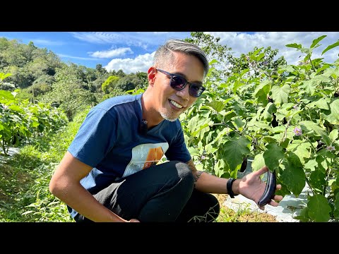 FARMERS, WAG MAGING GREEDY para hindi NAPAPASO!!