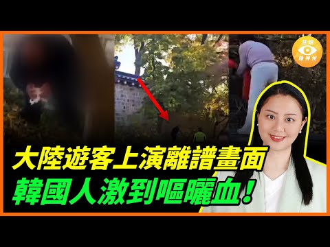 大陸遊客再上演離譜畫面，韓國人再次激到嘔曬血……