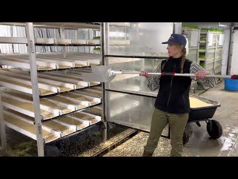 How our Fodder System works. Tips and tricks to grow fodder