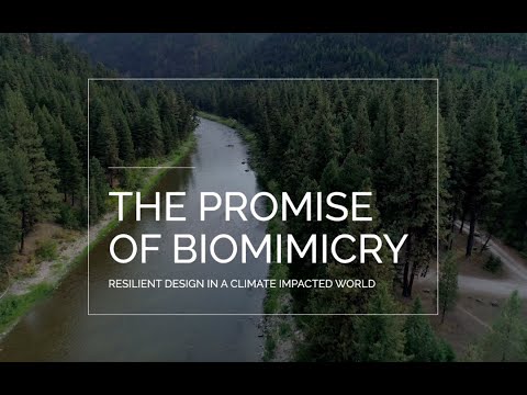 "The Promise of Biomimicry" : Innovation and Design Inspired by Nature