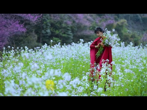 Avoid crowds, and go spring outing nearby！赶在上巳节这天家门口春个游！丨Liziqi Channel