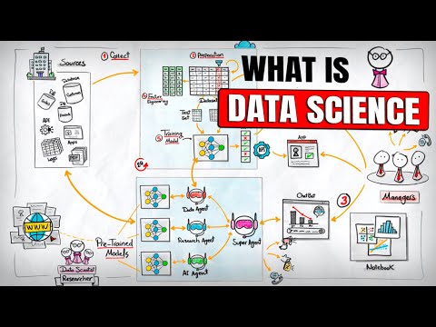 What Data Scientists Actually Do in 2025 (Full Breakdown)