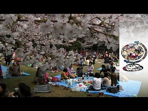 Why Estranged Spouses Take Kids To Japan