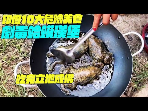 印度10大危險美食！劇毒蛤蟆漢堡？吃完立地成佛！印度美食 #維基小哥 #top10#搞笑視頻#維基紀錄片
