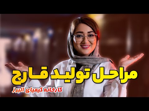 مراحل پرورش قارچ به صورت کامل