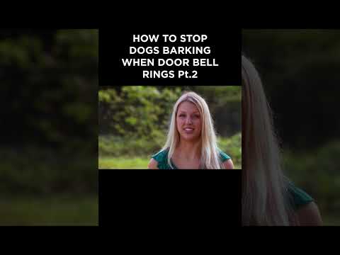 How to stop dogs barking when door bell rings🔔 #itsmeorthedog #dogtraining #dogs