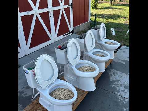 Round 2: What toilet should I buy? 4 different brands compared