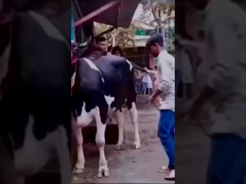 아아얏 아아얏 아야💥 (🎥 by 01즈) #ITZY #ITZY_WORLD_TOUR