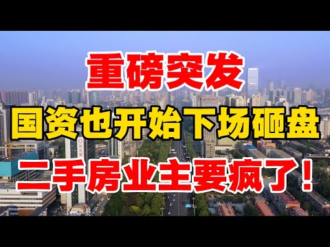 重磅突发，国资也开始下场砸盘了！二手房业主要疯了！体制内教授：房价还要再跌5年，根本不会停，泡沫太严重！
