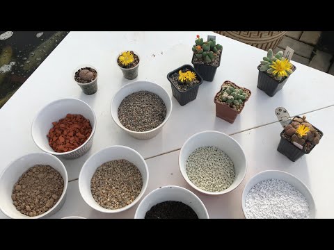 Preparing soil for Lithops, Conophytums and other Mesembryanthemaceae