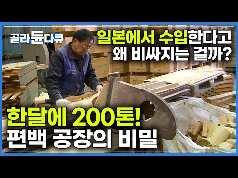 70살이 넘은 편백 나무를 일본에서 대량 수입해, 한달에 200톤 갈아내는 편백 공장｜300번 넘는 사포질과 압도적 작업으로 만드는 편백 가구｜편백 가구 공장｜#골라듄다큐