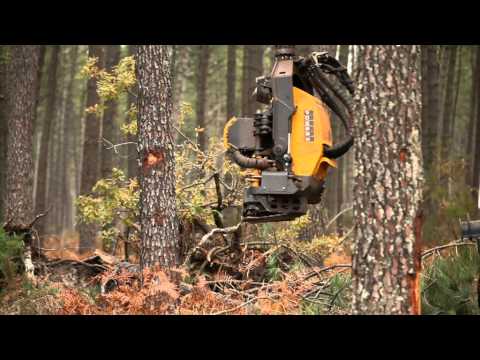 Entrepreneurs de Travaux Forestiers, un vrai métier