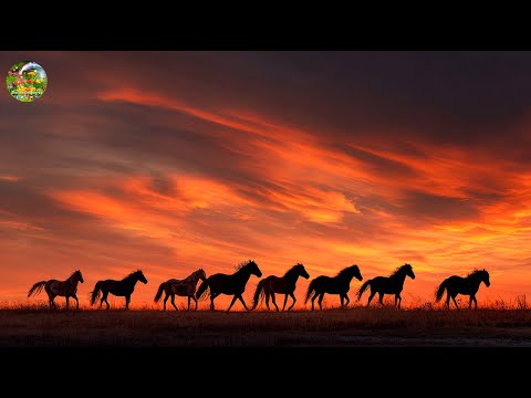 Сборник ЛУЧШИХ Мелодий от которых мурашки по телу! Музыка лечит сердце, расслабляет, музыка для души