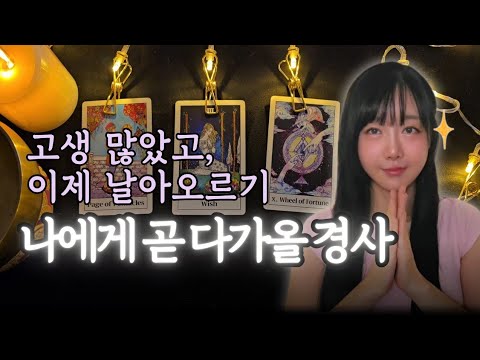 특별히 하늘이 내려줄 보상🎉 곧있을 금전운 연애운 타로