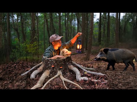 Building a Warm and Cozy Secret Shelter Under a Hollow Tree | Survival among the wild boars