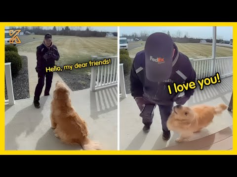 🐕🧑When Delivery Drivers Becomes Friends with Fur Babies💖