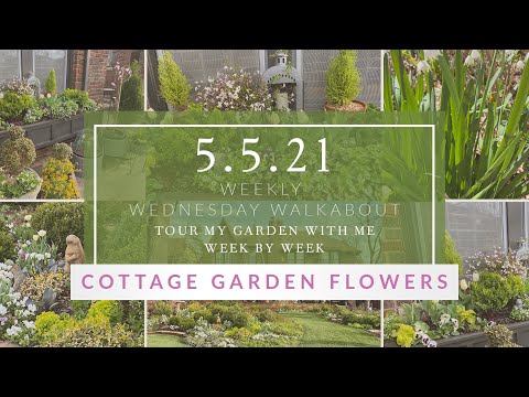 COTTAGE GARDEN FLOWERS: Foxglove, Larkspur, Columbine! // Linda Vater