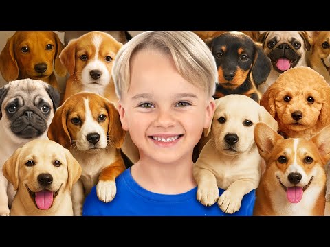 Kids Take Care of Animals at the Shelter - funny stories for kids