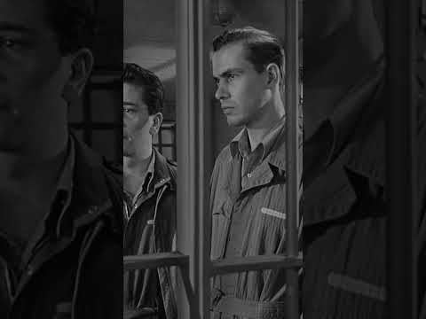 The Purple Heart #Shorts