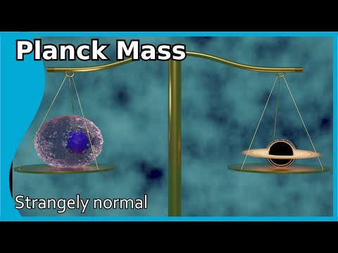 The Planck Mass: Not extremely big and not extremely small