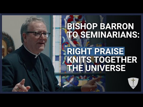 What the Bible Has to Say About the Priesthood | Bishop Robert Barron