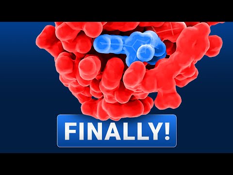 AlphaFold 3 AI Just Won The Nobel Prize!