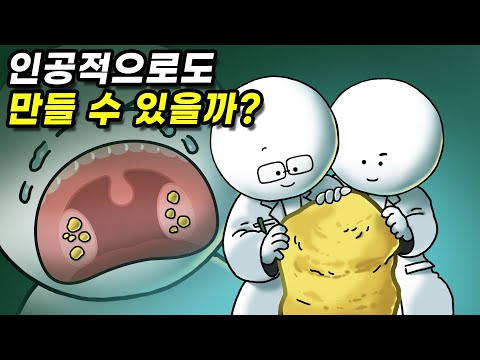 편도결석은 왜 생기는 걸까? 만들 수도 있을까?