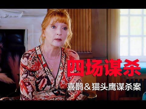 近年广受好评的探案作品，涉及四起复杂的谋杀奇案，简直太过瘾了