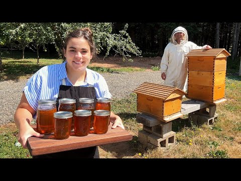 We have Honey on Tap!! Collecting and Cooking with Our First Honey Harvest!!