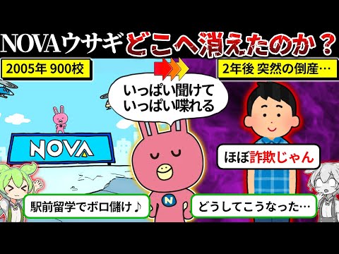 NOVAウサギどこへ消えたのか？