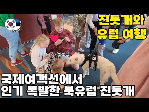 진돗개, 북유럽 국제여객선 첫 탑승! 외국인들 반응 폭발ㅋㅋ