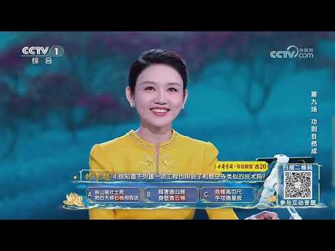 [2025中国诗词大会]悬空寺是中国古代建筑工艺的一个极品 | CCTV