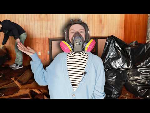 starting the renovations 🪚 (ep.2)