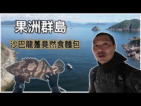 《陸上人的水上生活》 #44  果洲群島 沙巴龍躉竟然食麵包