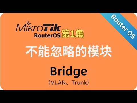 A crucial module in Router OS - Bridge: Episode 1 - VLAN and Trunk Explained in Detail | No. 105