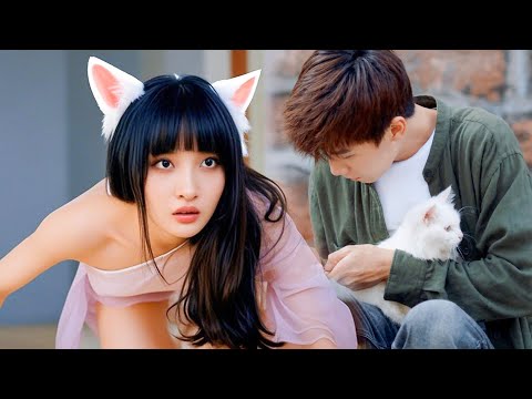 CEO Saves White Cat, She Turns into a Girl Sparking a Magical Romance