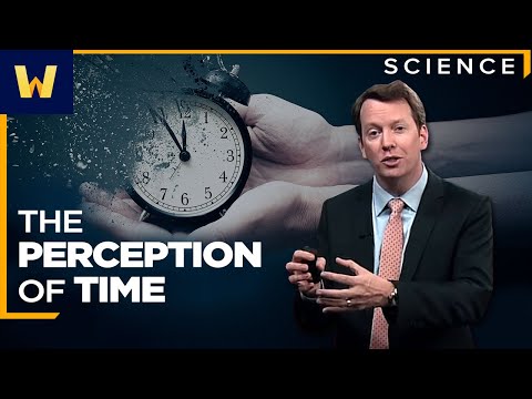 How We Perceive Time | Sean Carroll