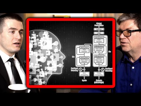 Can LLMs reason? | Yann LeCun and Lex Fridman