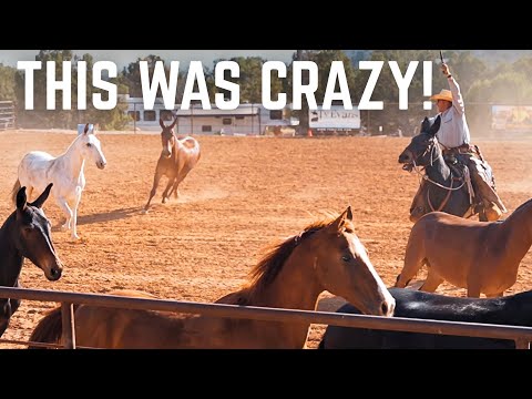 We competed in a WILD mule race!! 