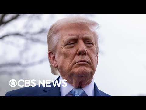 Republican, Democratic strategists react to new poll on Trump's approval rating