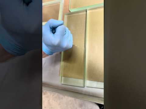 Lightning trapped in acrylic! #experiment #particleaccelerator #science #particlephysics #cool